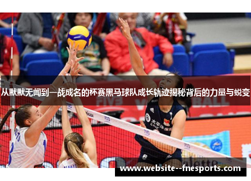 从默默无闻到一战成名的杯赛黑马球队成长轨迹揭秘背后的力量与蜕变